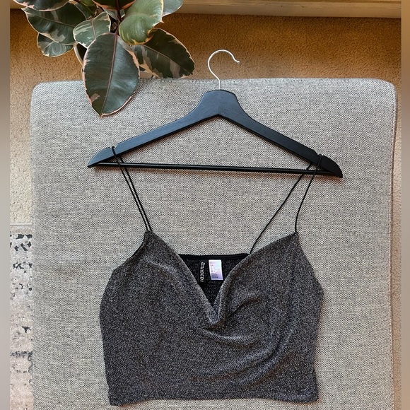 ✨ H&M Y2K Sparkly Crop Top ✨
Size: L 🤍 - Picture 1 of 13